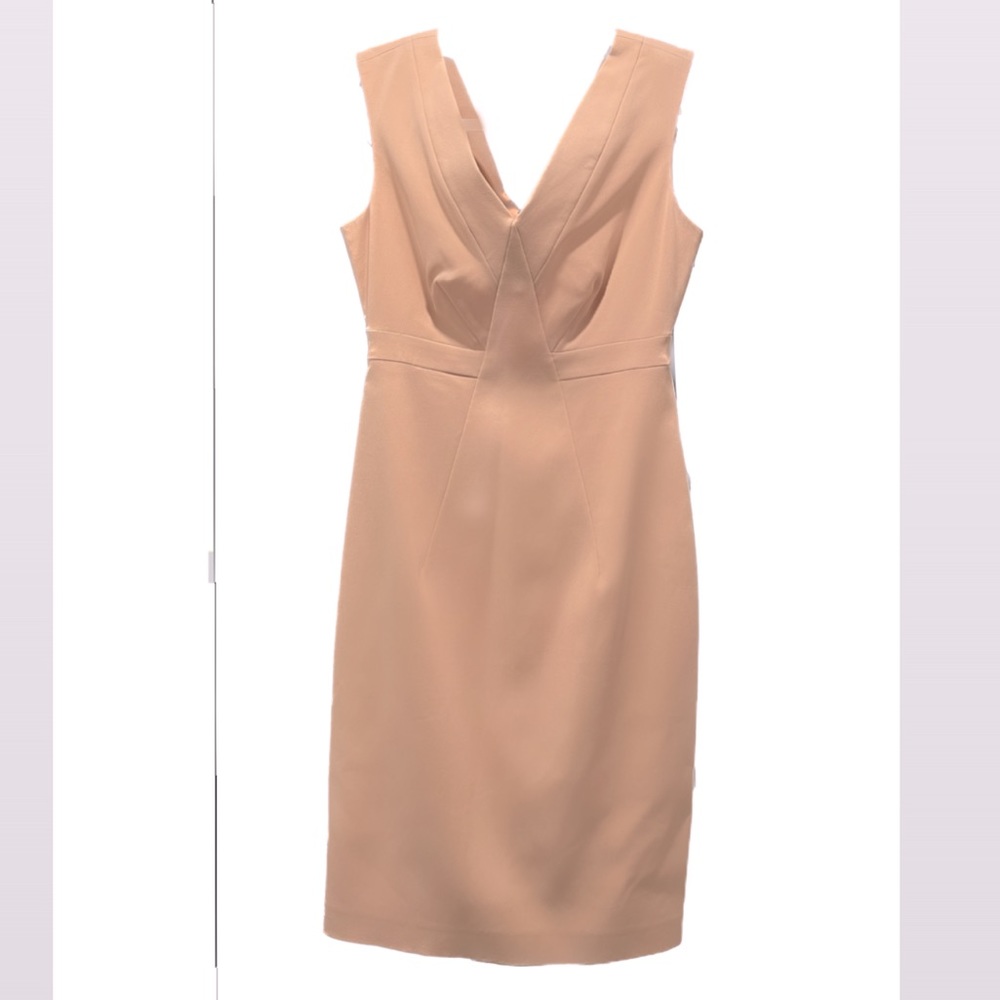 Reiss Light Pink Work Dress